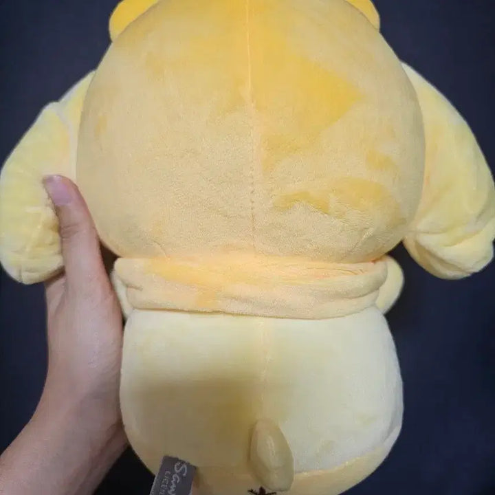 [BUNJANG] Pompompurin Friends Costume Medium Plush / 폼폼푸린 프렌즈코스튬 중형 인형