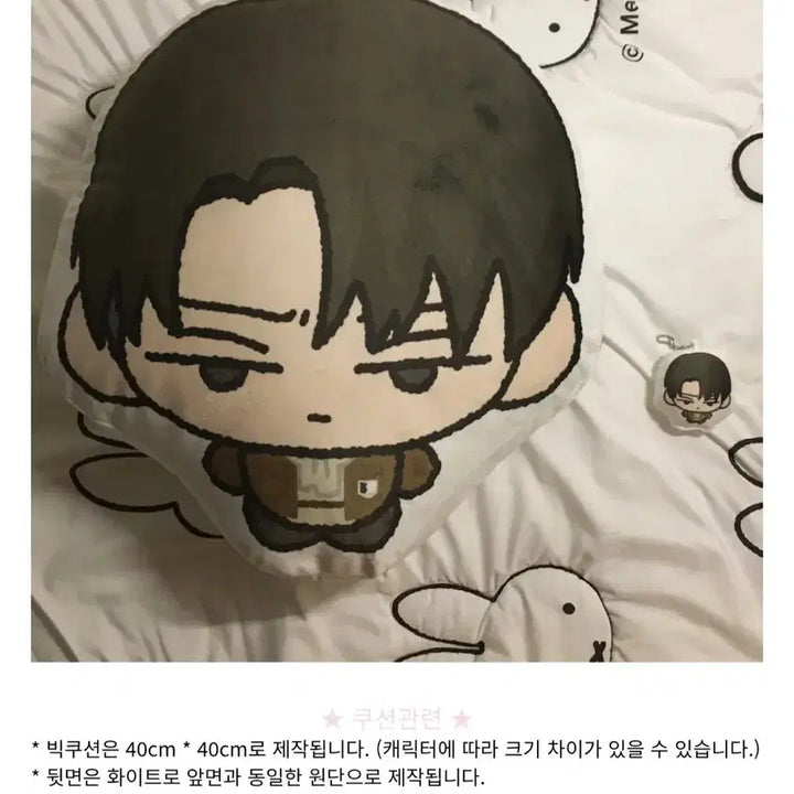 [BUNJANG] Attack on Titan Levi 40cm Large Cushion + Cushion Keychain Set / [미개봉]진격의 거인 리바이 40cm 대형쿠션 + 쿠션키링 소최모 진격거