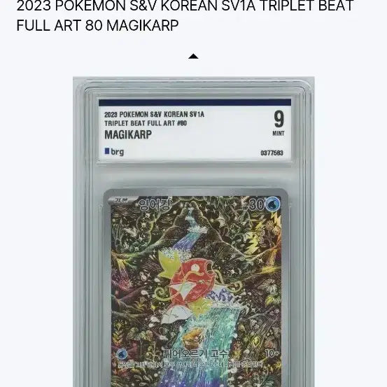 [BUNJANG] Pokemon Card Magikarp BRG Graded 9 Mint / 포켓몬카드 잉어킹 brg 9