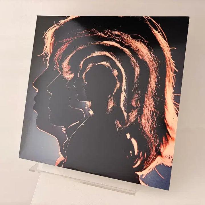 [BUNJANG] The Rolling Stones Hot Rocks 1964-1971 2LP US Pressing / 미국반 롤링스톤즈 2LP 베스트 The Rolling Stones Hot Rocks 1964-1971