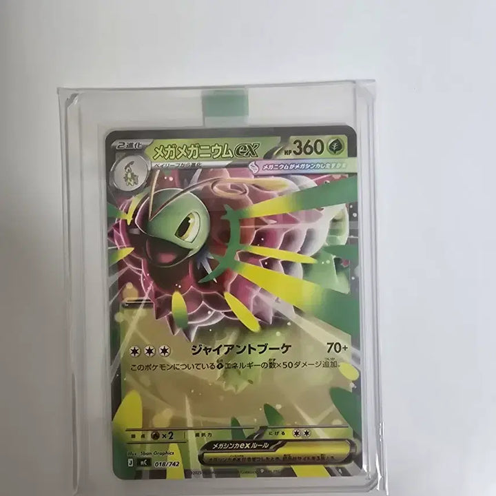 [BUNJANG] Pokemon Card Starter Pack 100 Japanese Set / 포켓몬카드 스타터 팩 100 일판 일괄 판매합니다 (S급)