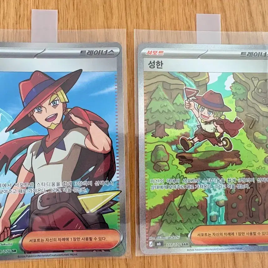 [BUNJANG] Pokemon Card Seonghan Trainer SAR / SR Set / [포켓몬 카드] 성한 트레이너 SAR / SR 세트
