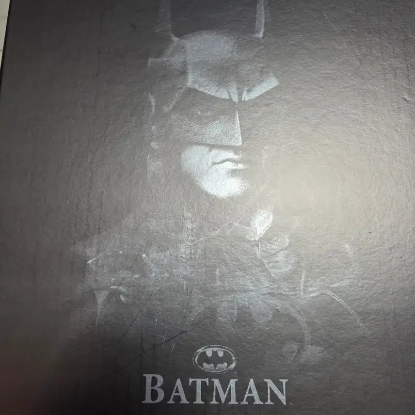 [BUNJANG] Hot Toys DX09 Batman / 핫토이 DX09 배트맨