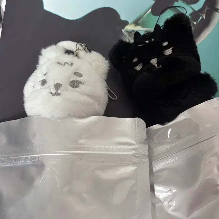 [BUNJANG] Young K Concert Secret Keyring &amp; Doll Bundle Set / 영케이 시크릿키링 영케이 인형 양도 판매(+컨페티)