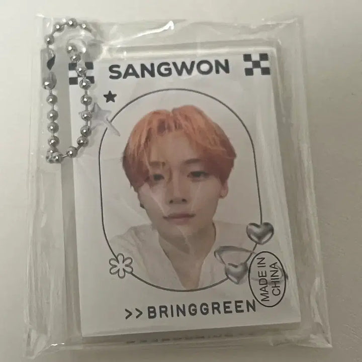 [BUNJANG] Bring Green Alpha Drive One Sangwon Keyring / 알파드라이브원 이상원 브링그린 알디원 상원 키링 ALD1