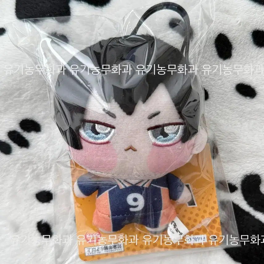 [BUNJANG] Kageyama Tobio Chibi Mascot Keychain Haikyuu!! / 미개봉) 카게야마 토비오 쵸피 푸치 키링 누이 크레인 인형 치비 마스코트 하이큐