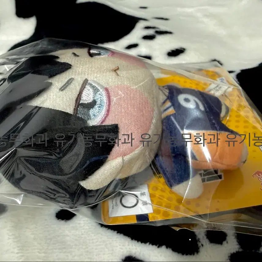 [BUNJANG] Kageyama Tobio Chibi Mascot Keychain Haikyuu!! / 미개봉) 카게야마 토비오 쵸피 푸치 키링 누이 크레인 인형 치비 마스코트 하이큐