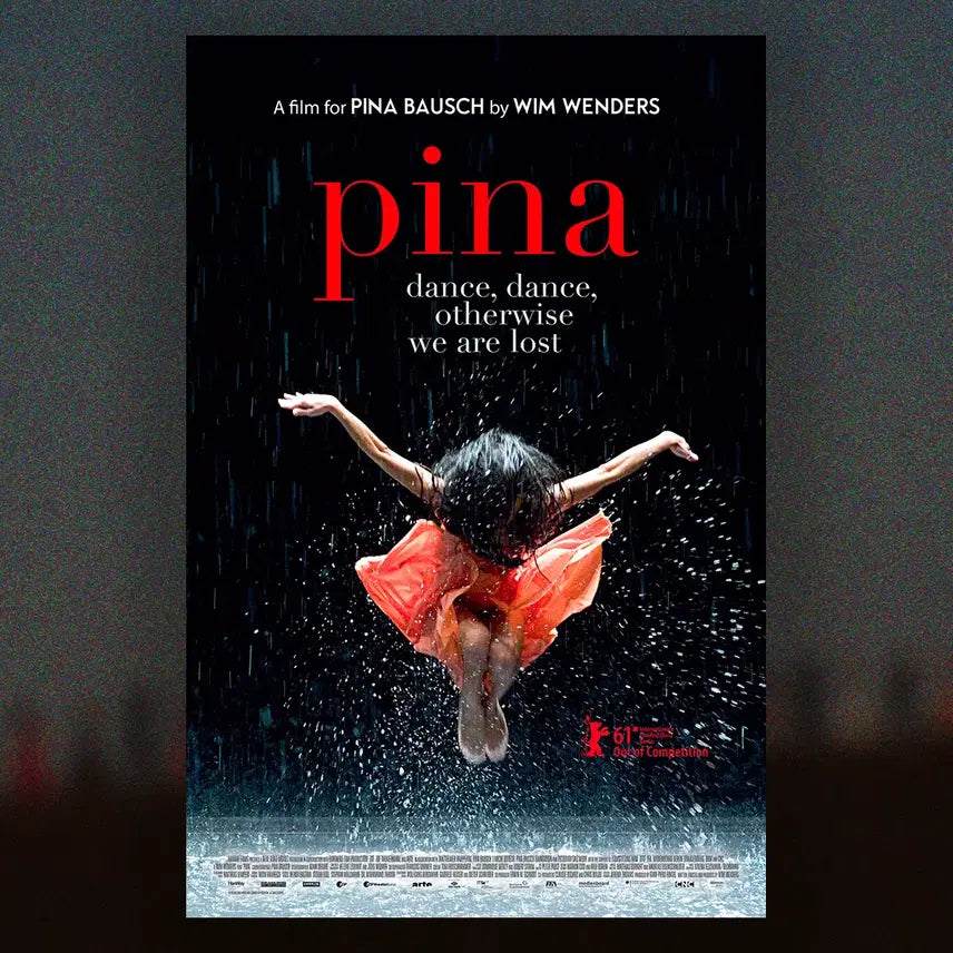 [BUNJANG] Fina Original Poster / 피나 포스터