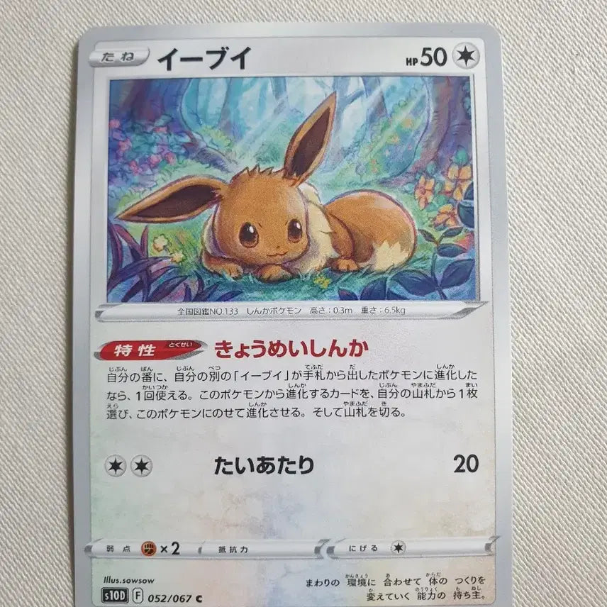 [BUNJANG] Japanese Edition Eevee Pokémon Card / 일판/이브이 포켓몬카드
