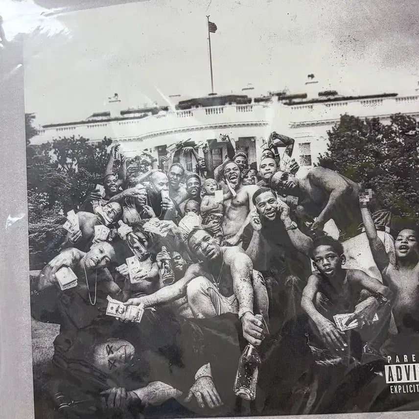 [BUNJANG] Kendrick Lamar To Pimp a Butterfly LP / kendrick lamar 켄드릭라마 lp to pimp a butterfly tpab