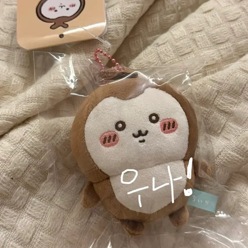 [BUNJANG] Chiikawa Beetle Mascot (Sealed) / 8/7 신상 (미개봉) 치이카와 풍뎅이 마스코트