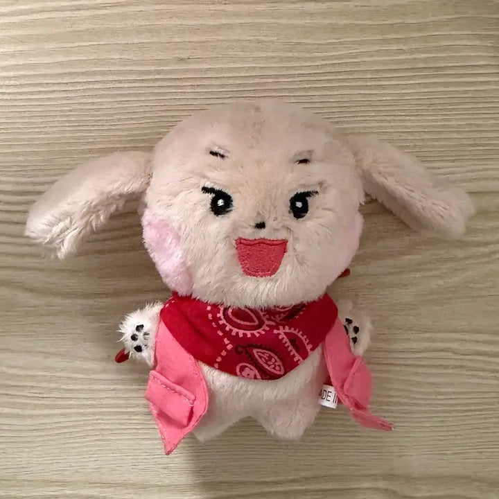 [BUNJANG] SEVENTEEN Dino Doll Bundle Set / 세븐틴 디노 인형 2개