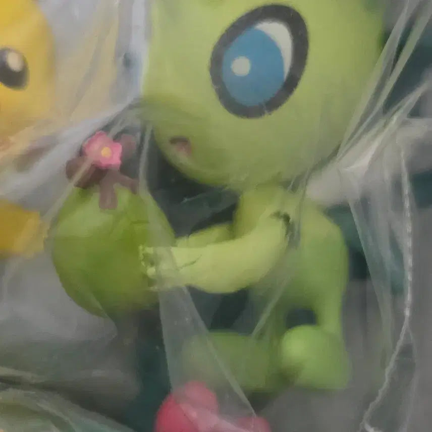 [BUNJANG] Pokemon Forest&