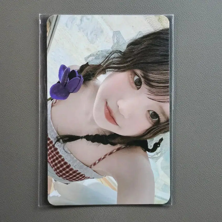 [BUNJANG] fromis_9 from Concert Bundle Photocard Set / 프로미스나인 프롬 포카 5장 일괄 콘서트 구독 포카 포토카드
