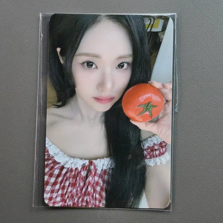 [BUNJANG] fromis_9 from Concert Bundle Photocard Set / 프로미스나인 프롬 포카 5장 일괄 콘서트 구독 포카 포토카드
