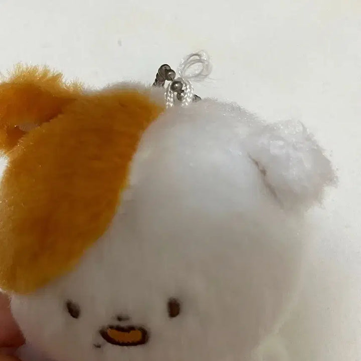 [BUNJANG] Pocketz Character Plush / 포켓찌