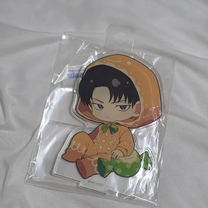 [BUNJANG] Attack on Titan 30&
