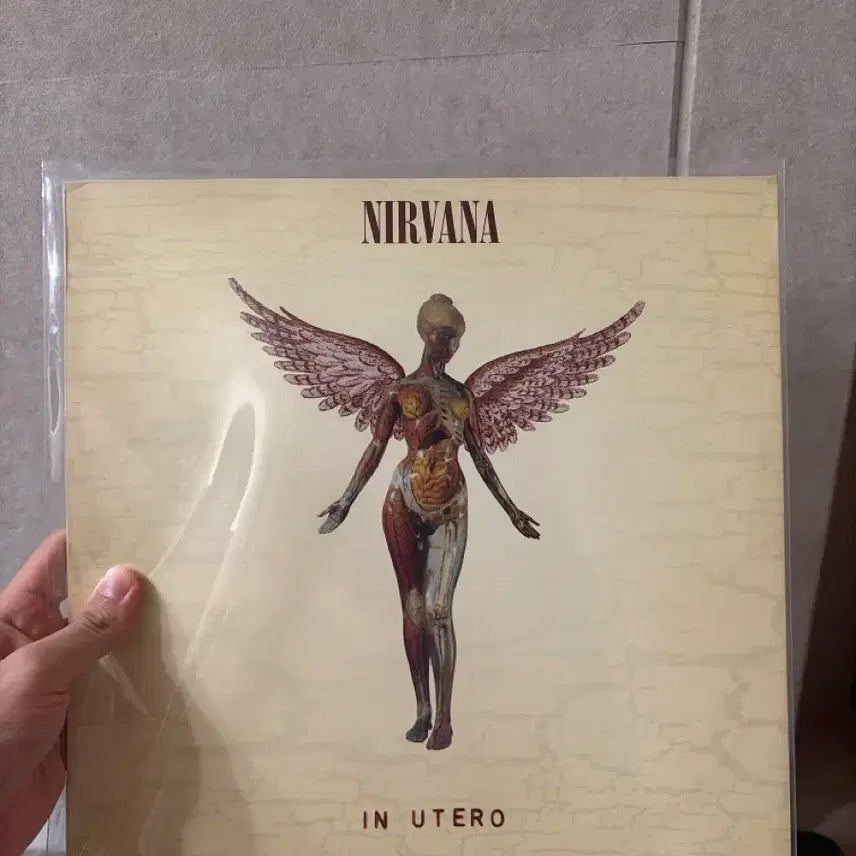 [BUNJANG] Nirvana In Utero LP European First Pressing / 너바나 in utero LP 유럽 초판