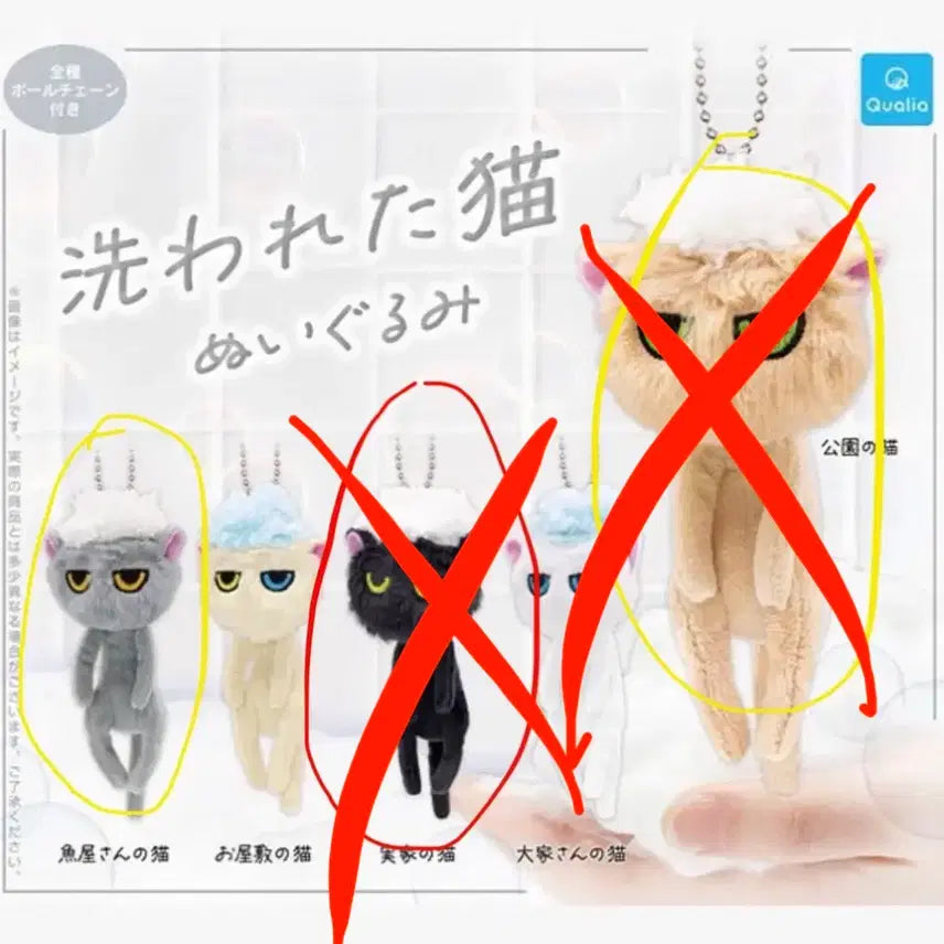 [BUNJANG] Washed Cat Bathing Cat Gachapon / 씻긴 고양이 목욕당한 고양이 가챠