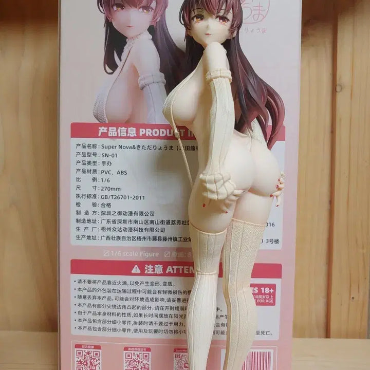 [BUNJANG] Authentic 1/6 Scale Anime Girl Figure / 정품 1/6 미소녀 피규어
