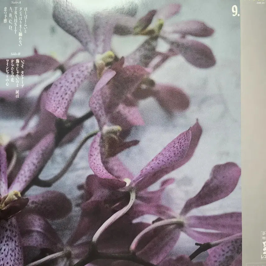 [BUNJANG] Yosui Inoue 9.5 Carats LP / 추천 시티팝 명반 이노우에 요스이 Yosui Inoue 9.5 Carats LP