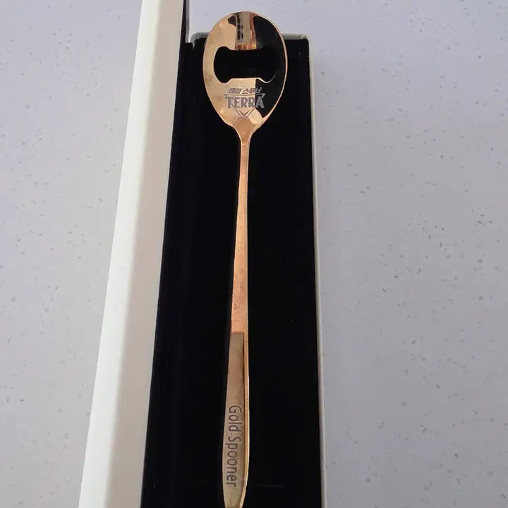 [BUNJANG] Gold Spoon with Case / 골드 스푸너 + 케이스