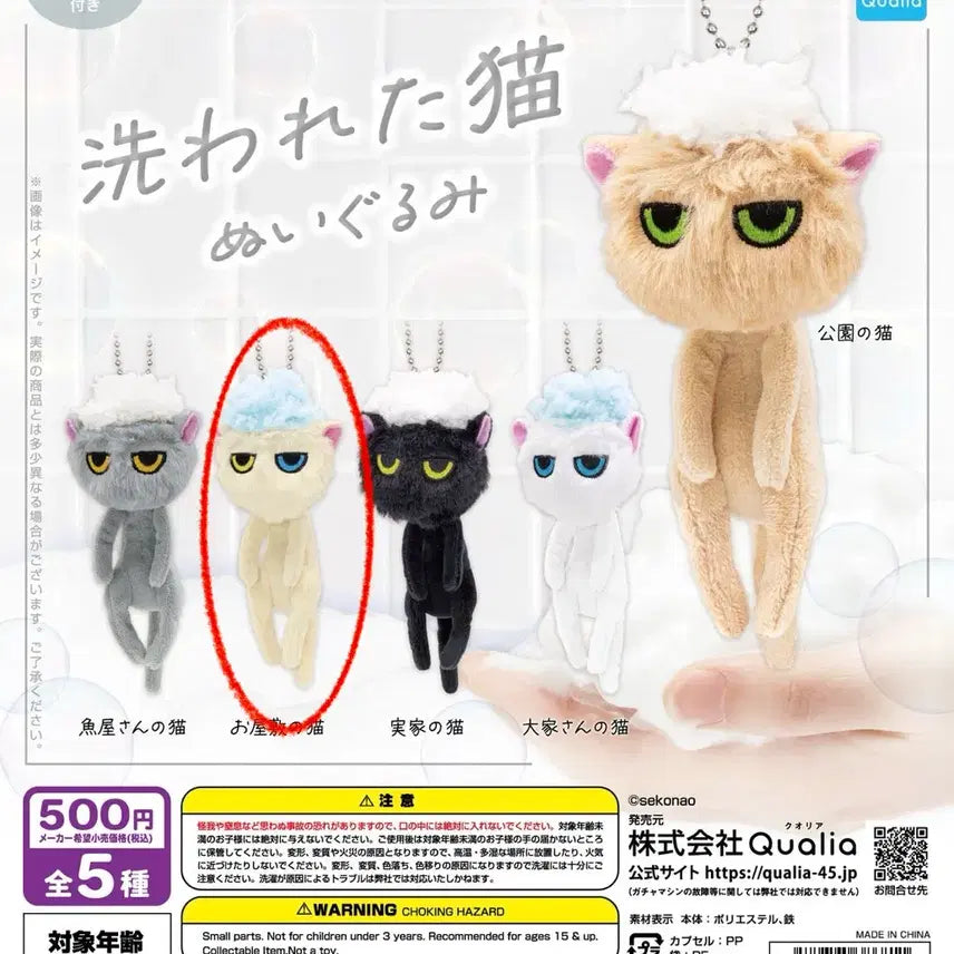 [BUNJANG] Washed Cat Gacha (Odd Eye) / 씻겨진 고양이 가챠 (오드아이)