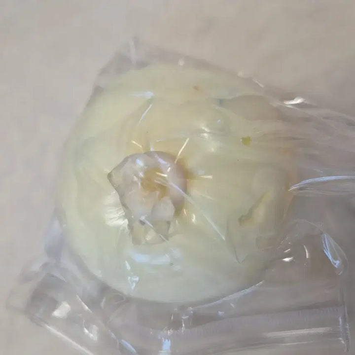 [BUNJANG] Usagi Handmade Squishy Toy / 우사기 수제공 수제말랑이 직구 새제품