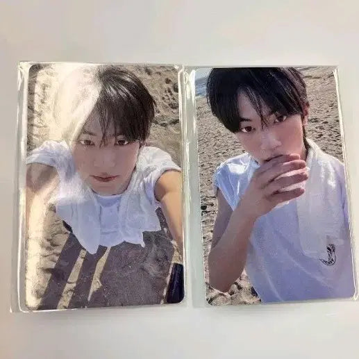 [BUNJANG] TWS Dohoon Kobe Concert Photocard / 투어스 고베 콘서트 도훈 포토카드 양도합니다 일본 회장