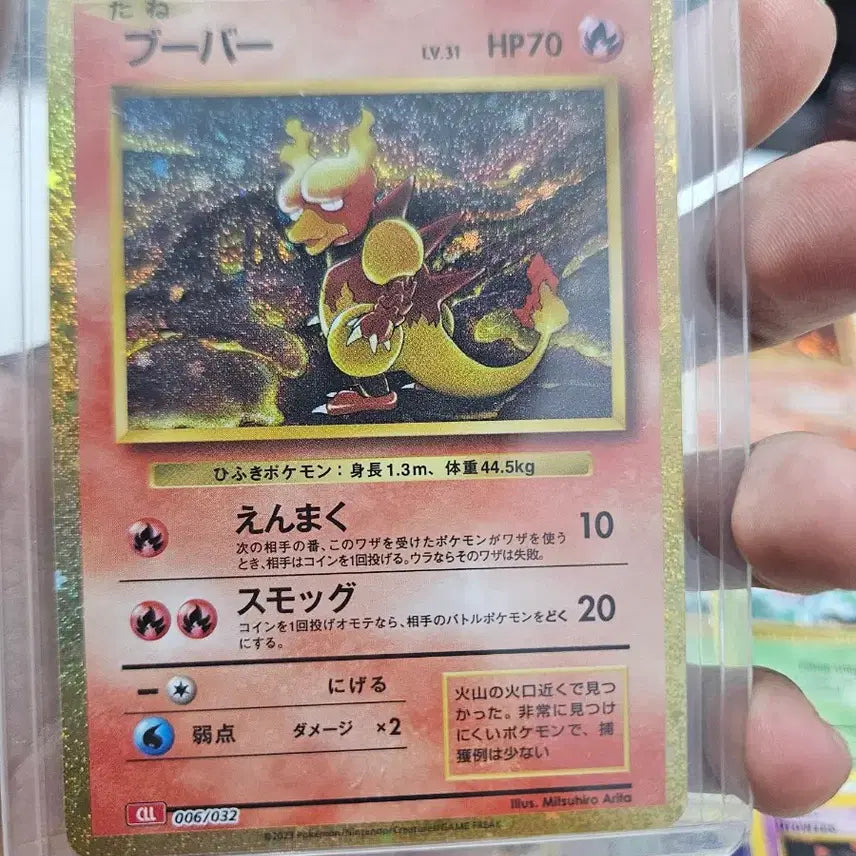 [BUNJANG] Pokemon Cards Old Back Holo / 포켓몬카드 올드백 홀로