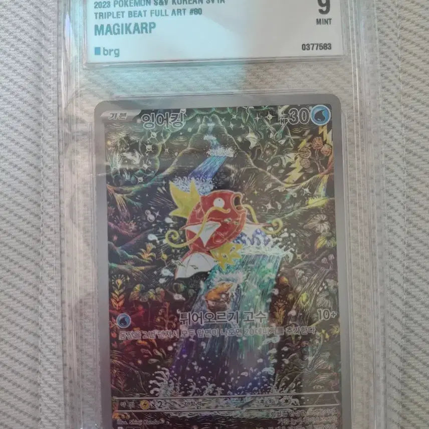 [BUNJANG] Pokemon Magikarp AR Card / 포켓몬카드 잉어킹 AR brg 9