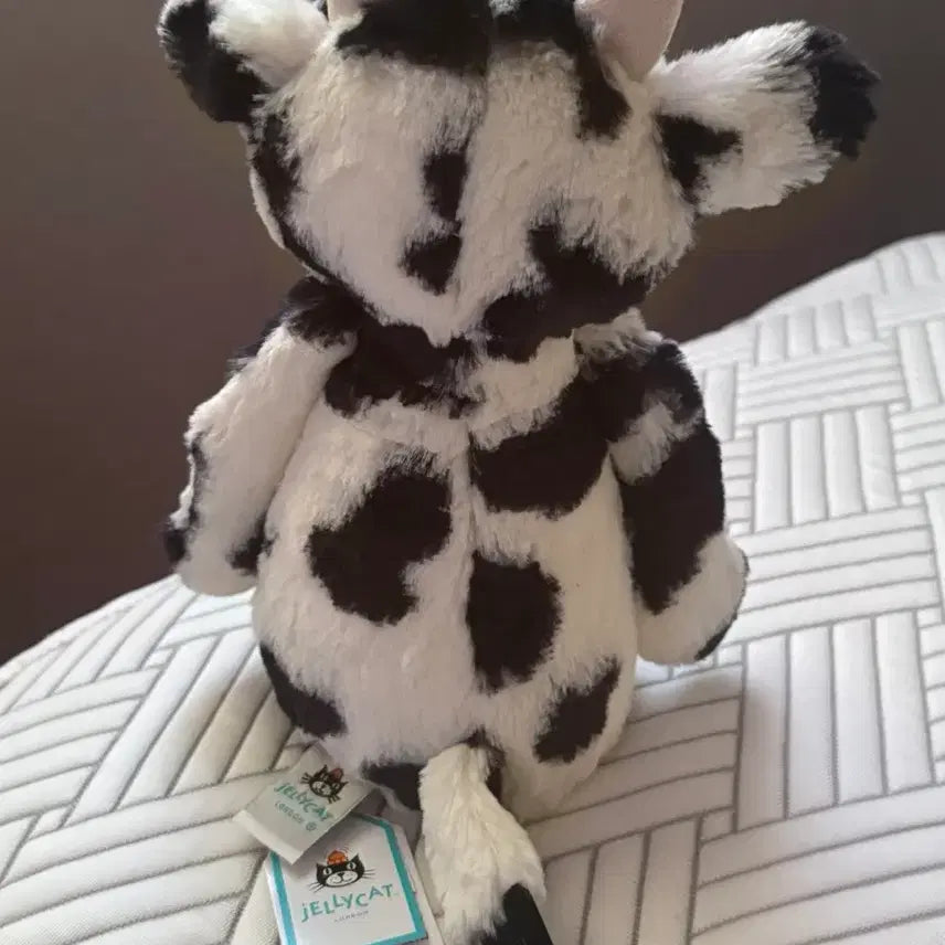 [BUNJANG] Jellycat Bashful Calf Plush Toy (Authentic) / jellycat 바쉬풀 카프 젤리캣 정품