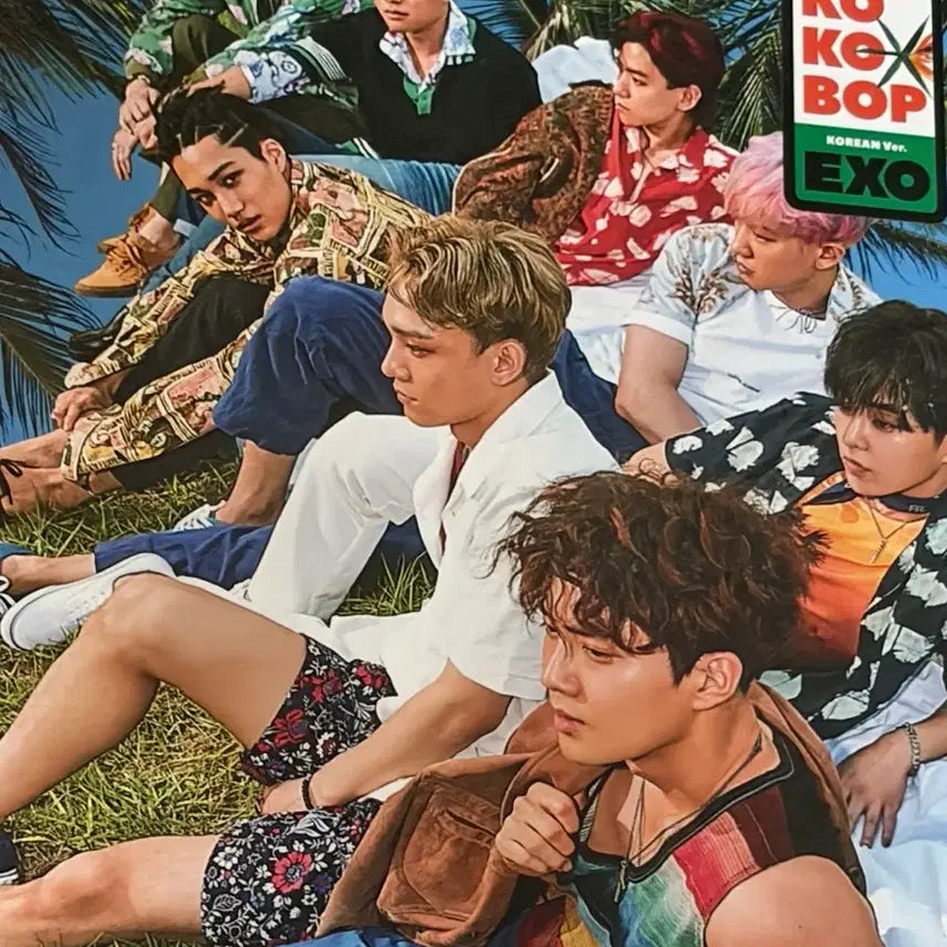 [BUNJANG] EXO D.O. Kyungsoo Photocard &amp; Countdown Album / 디오 도경수 포카+코코밥 앨범