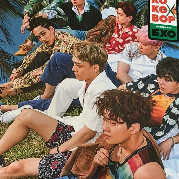 [BUNJANG] EXO D.O. Kyungsoo Photocard &amp; Countdown Album / 디오 도경수 포카+코코밥 앨범