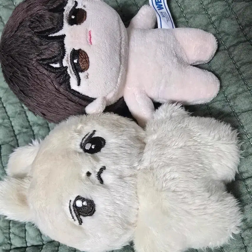[BUNJANG] Park Jihoon Bak Tokki, Bam Tor Si Eun Bundle Set Doll / 일괄) 박지훈 인형 박토낑 밤톨시은
