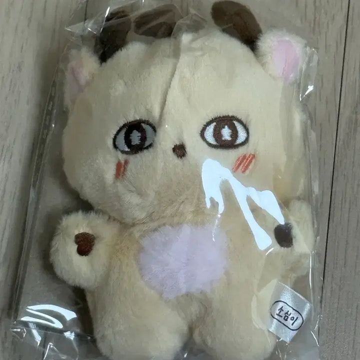 [BUNJANG] Park Jihoon &