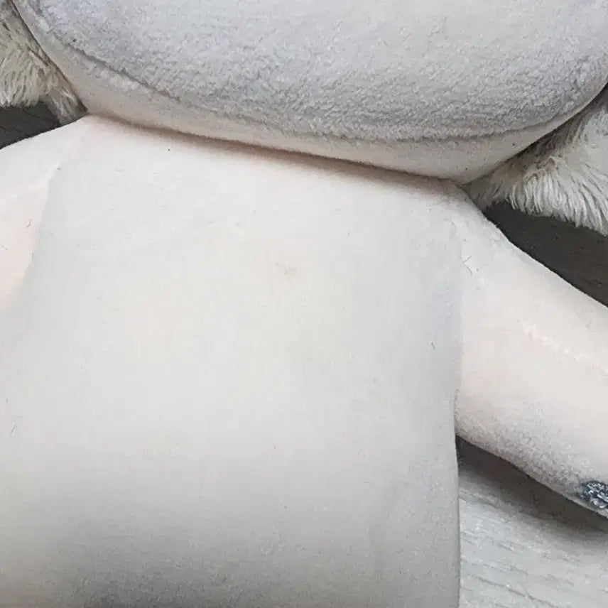 [BUNJANG] 20cm Unattributed Teddy Bear Plush / 무속성 20cm 테디베어