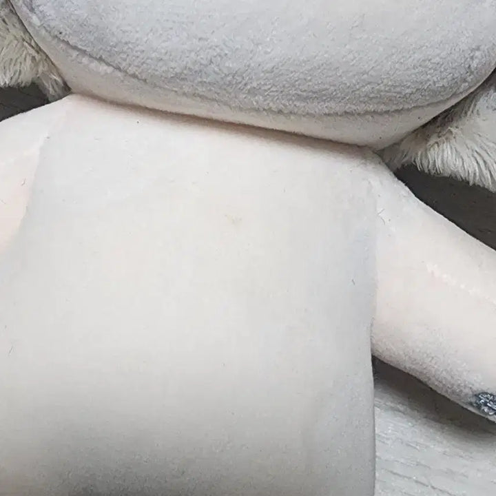 [BUNJANG] 20cm Unattributed Teddy Bear Plush / 무속성 20cm 테디베어