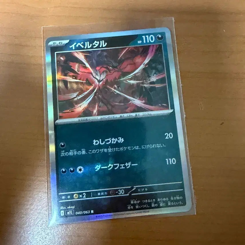 [BUNJANG] Yveltal Japanese Edition / 일판 이벨타르