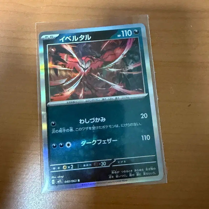[BUNJANG] Yveltal Japanese Edition / 일판 이벨타르