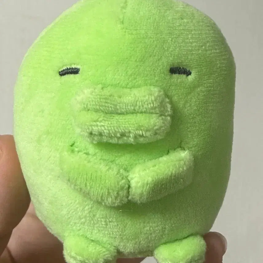 [BUNJANG] Pochama Plush Toy / 주댕치 푸리누이 구치파치 푸리누이