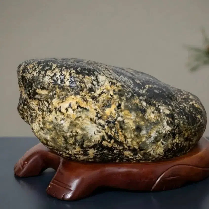 [BUNJANG] Leopard Stone Figurine / 수석.호피석
