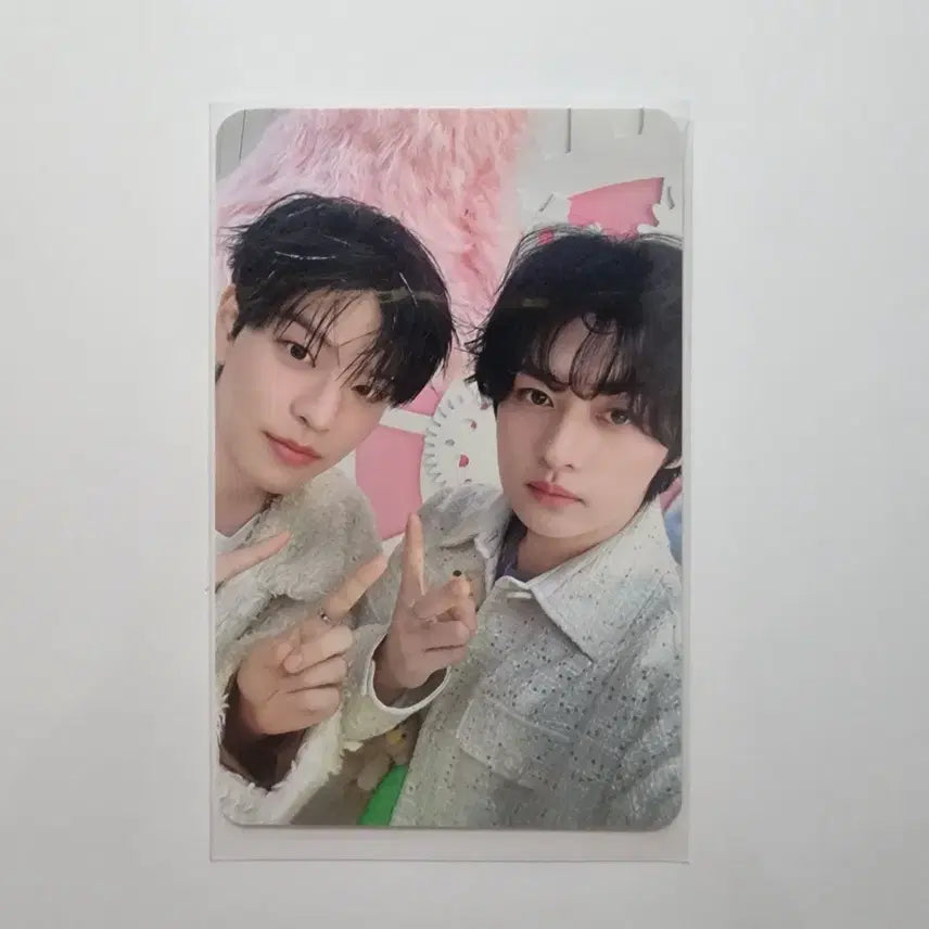 [BUNJANG] 5Clock STAY ver. Gwan-Gwan Unit Photocard / 파이브클락 스테이존 가관즈 유닛포카
