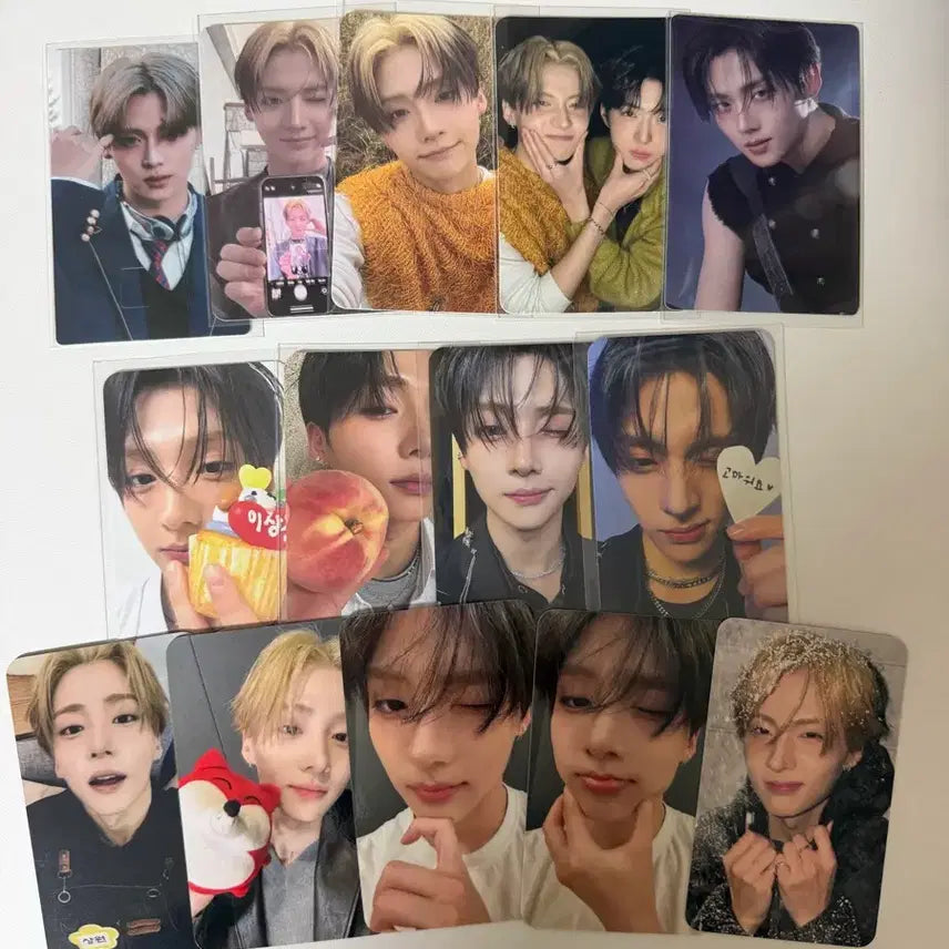 [BUNJANG] Aldy 1 Lee Sangwon Photocard Bundle Set / 알디원 이상원 포카 공굿,비공굿 일괄 판매