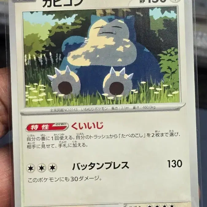 [BUNJANG] Pokemon Card Snorlax Set / 포켓몬 카드 잠만보 세트