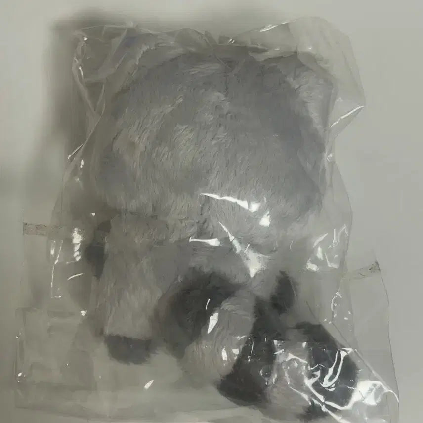 [BUNJANG] Wonburi Doll / 원부리 인형