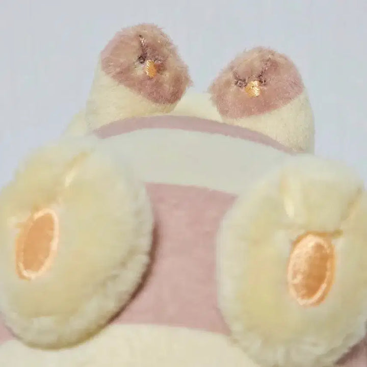 [BUNJANG] Pokemon Metamon Transformation Tail Dragon Plush Toy / [택O] 변신메타몽 다꼬리 인형 잠실 포켓몬스터 포케센 일케센 포켓몬 팝업