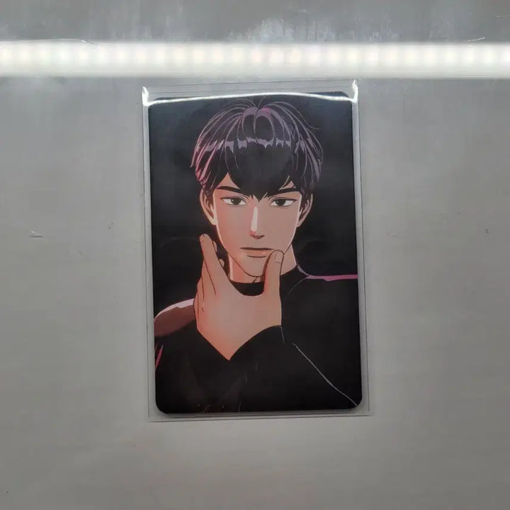 [BUNJANG] PLAVE We Love Special POB Photocard / 플레이브 웨포럽 특전 포카