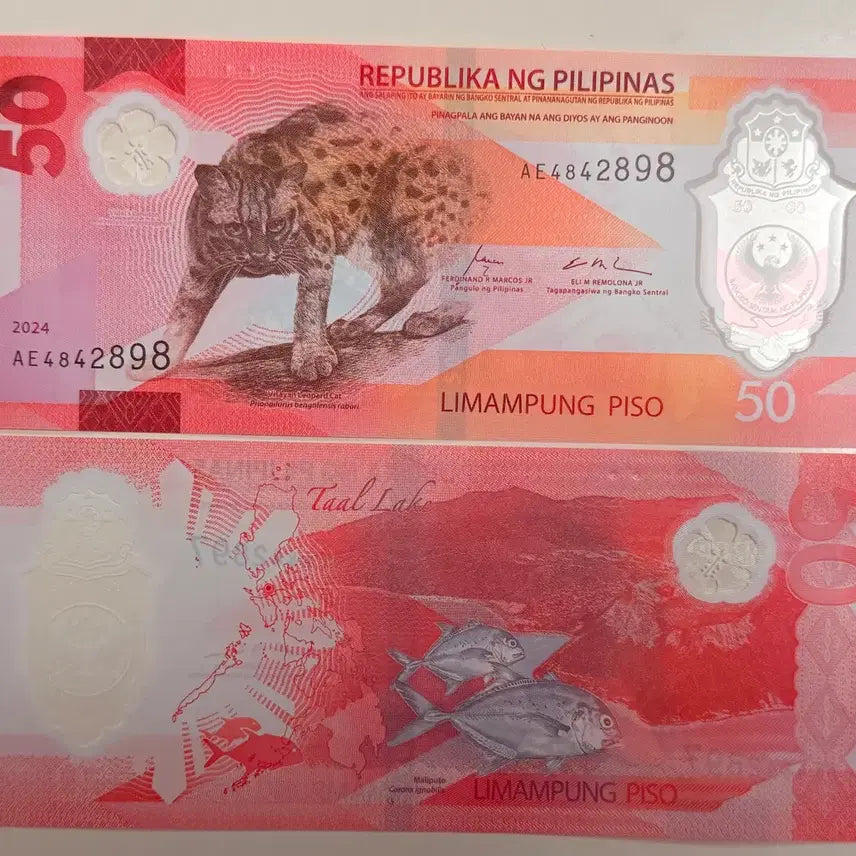 [BUNJANG] Philippines 50 Pesos Polymer UNC 2024 / 필리핀 2024  50페소 폴리머  완전미사용