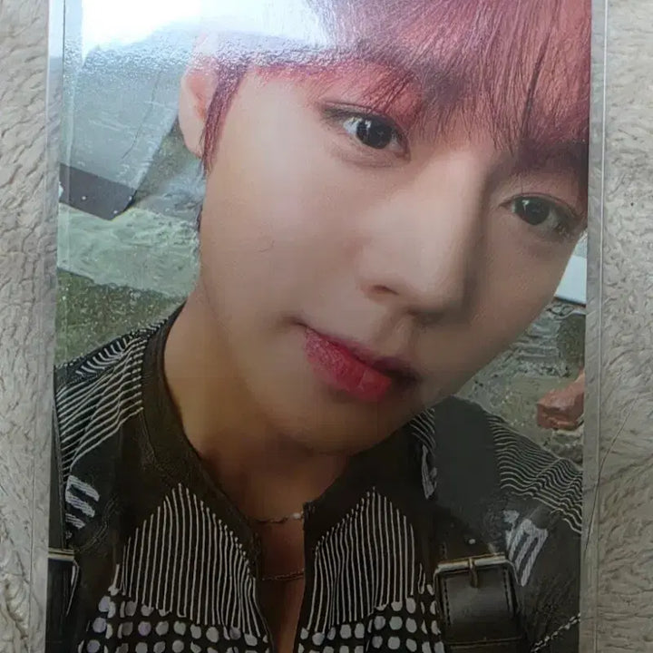[BUNJANG] Park Jihoon Photocard / 박지훈 포카 포토카드 판매